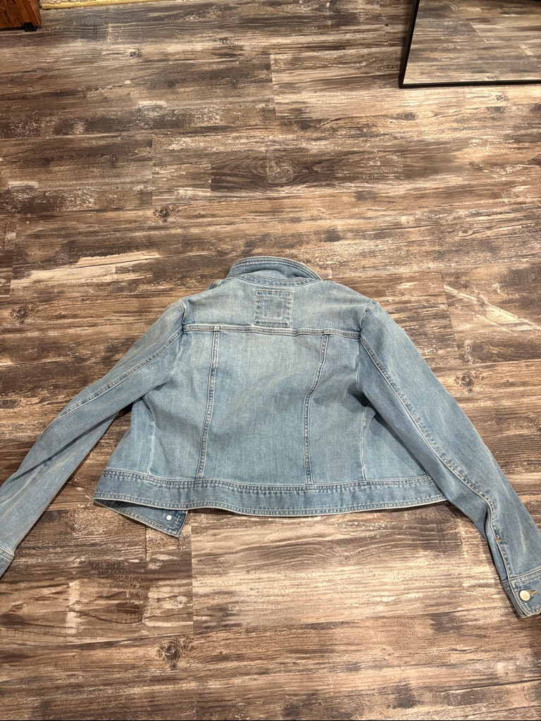 The Limited Light Blue Denim Vintage Jean Jacket — image 3 of 3